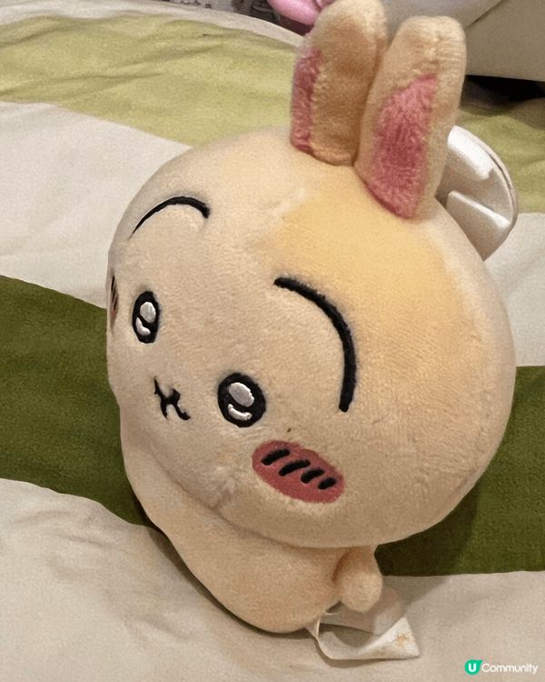 可愛嘅chiikawa係姨甥仔喜歡先嘅