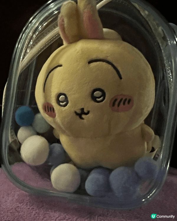 可愛嘅chiikawa係姨甥仔喜歡先嘅