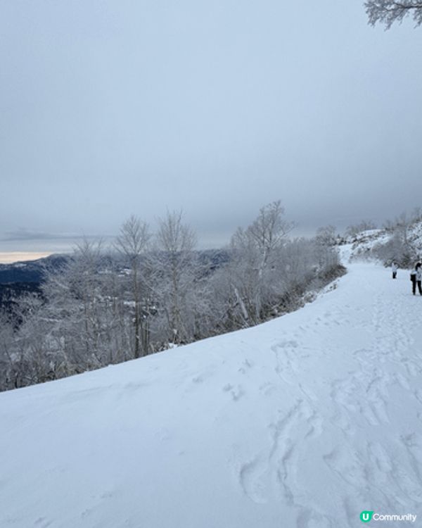 北海道小樽，好靚，下雪好有氣氛，白色聖誕，浪漫又温馨，十分難...
