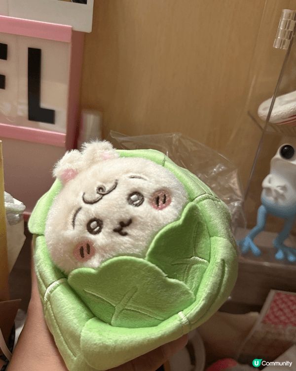 不嬲都勁鍾意儲公仔嘅我，最近被Usagi攻陷左，多到我媽要質...