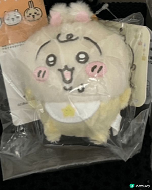 啱啱去完日本返嚟，帶埋B B造型的Usagi兔子返屋企🤭，戴...