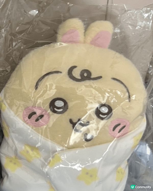 啱啱去完日本返嚟，帶埋B B造型的Usagi兔子返屋企🤭，戴...