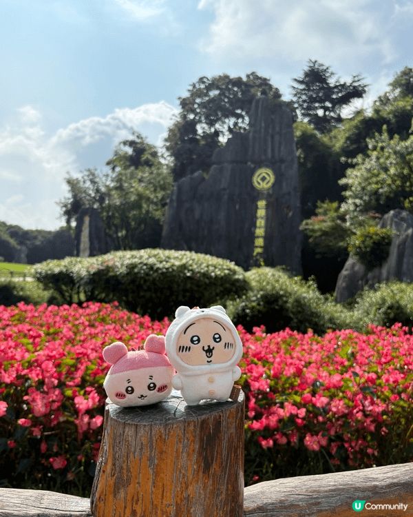 是去雲南的旅遊，每當有打卡，有景點時，兔兔同古本屋就出嚟影相...