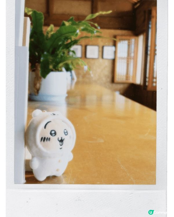 是去雲南的旅遊，每當有打卡，有景點時，兔兔同古本屋就出嚟影相...