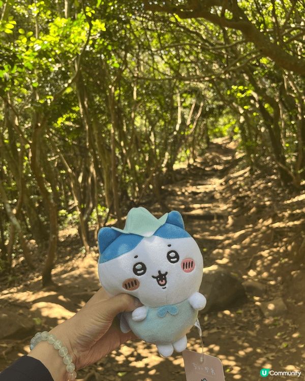 呢次去福岡糸島，真係俾佢嘅自然風景迷倒咗。成個地方都散發住一...