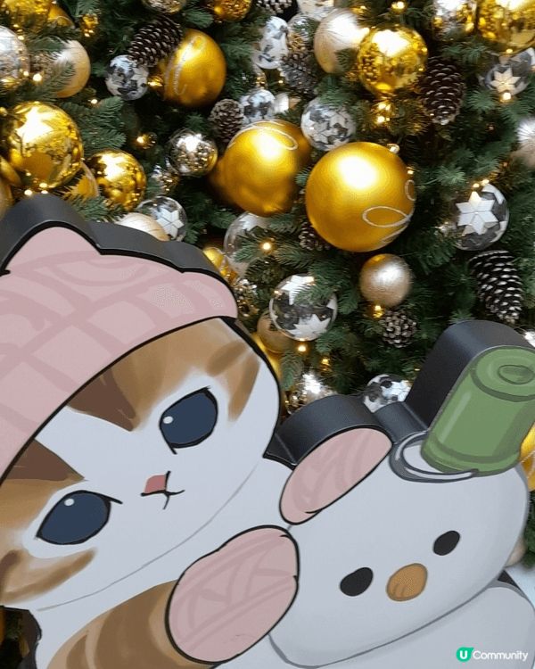 開心地唱：叮叮噹叮叮噹……又又又到聖誕又到聖誕……一齊來唱住...