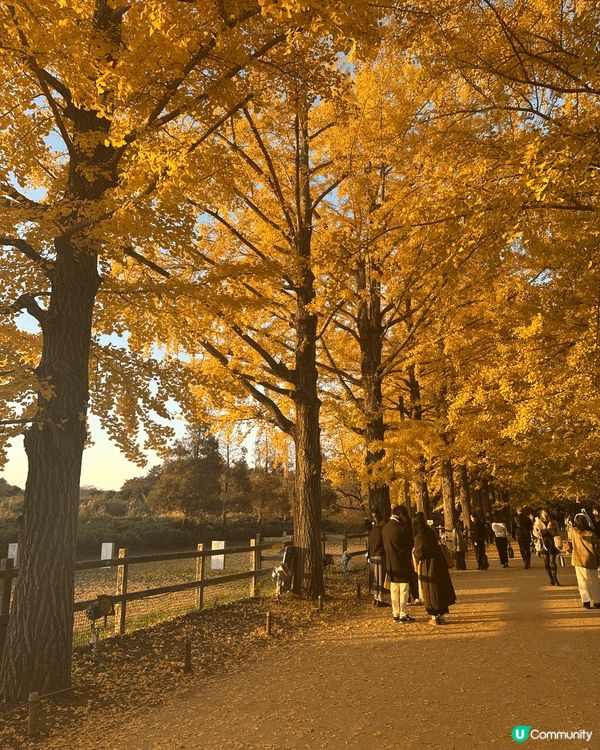 昭和紀念公園