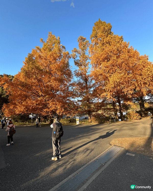 昭和紀念公園
