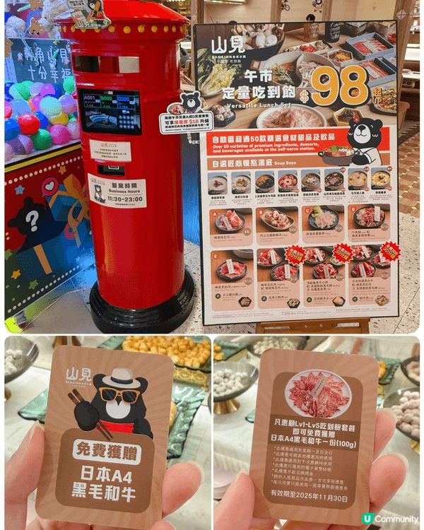 🍲🐻✨【親子暖心台式火鍋日】✨🐻🍲