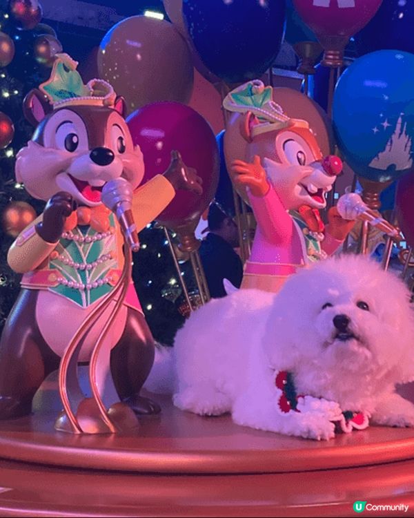 尖沙咀海港城商場外的聖誕燈飾，鄰近天星碼頭，是聖誕打卡好去處...