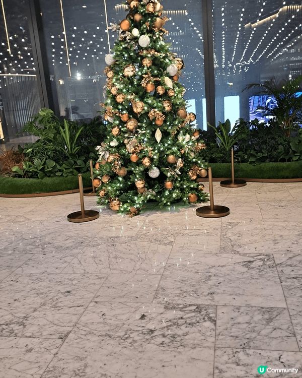 這是我到airside商場所見的聖誕裝飾，這裏的聖誕樹非常美...