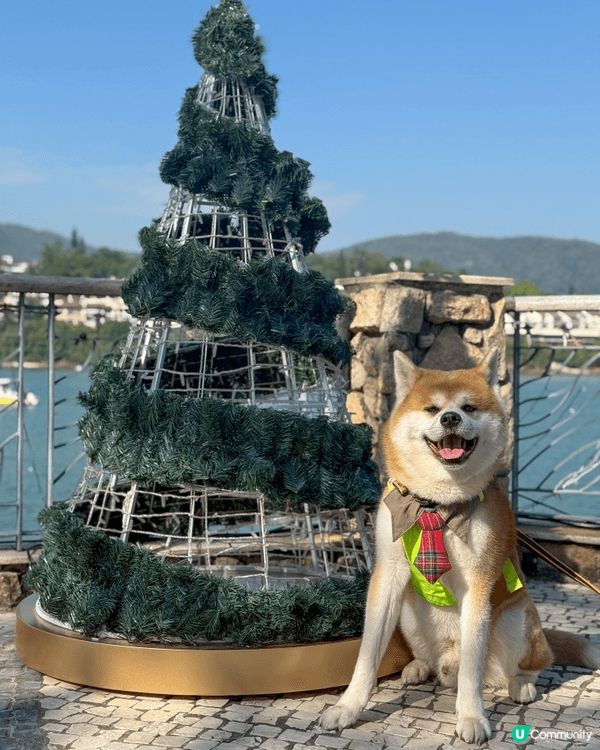 聖誕必去愉景灣❤️「愉景灣意式冬日慶典」勁多打卡位同埋聖誕燈...