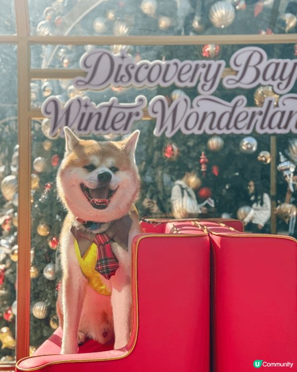 聖誕必去愉景灣❤️「愉景灣意式冬日慶典」勁多打卡位同埋聖誕燈...