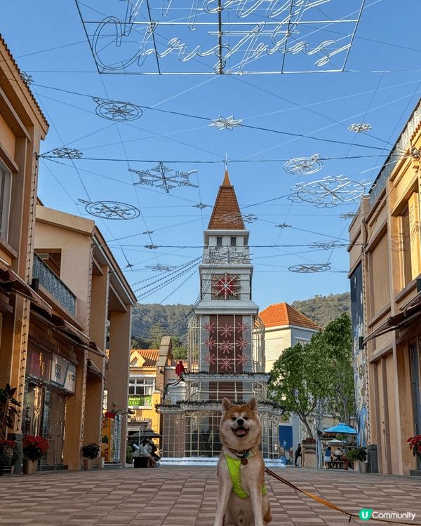 聖誕必去愉景灣❤️「愉景灣意式冬日慶典」勁多打卡位同埋聖誕燈...