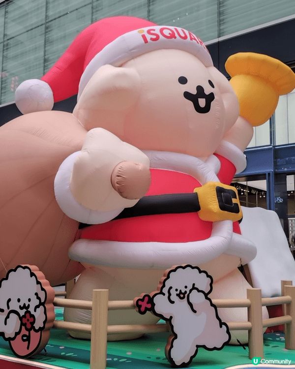 聖誕打卡搵萌犬Muck🐶