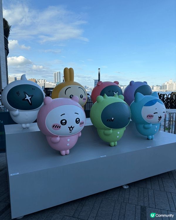 作為一個Chiikawa瘋狂粉絲，當然全部各色都愛。之前暑假...