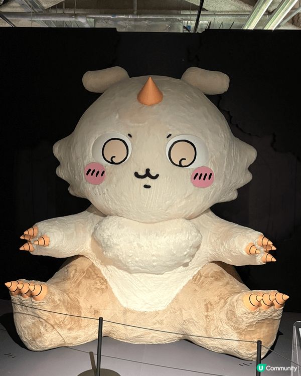 作為一個Chiikawa瘋狂粉絲，當然全部各色都愛。之前暑假...