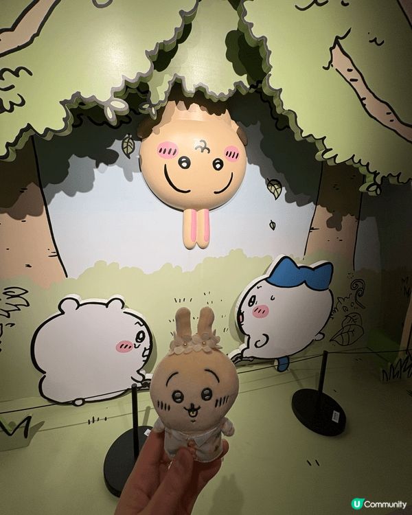 作為一個Chiikawa瘋狂粉絲，當然全部各色都愛。之前暑假...