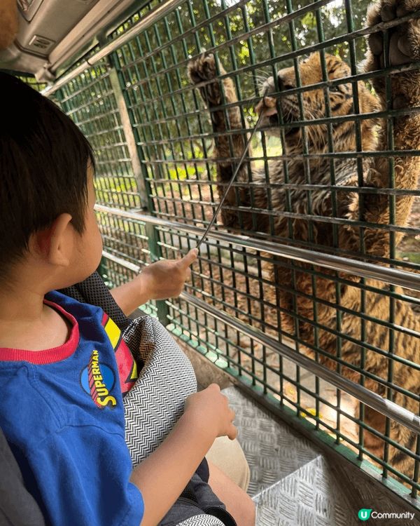 位置深圳既野生動物園，俾到我地好大驚喜，有世界各地的野生動物...