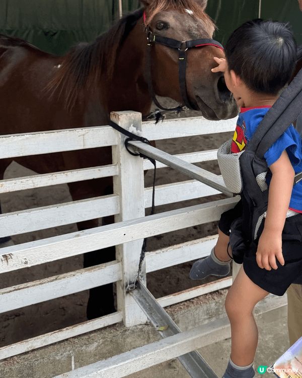 位置深圳既野生動物園，俾到我地好大驚喜，有世界各地的野生動物...