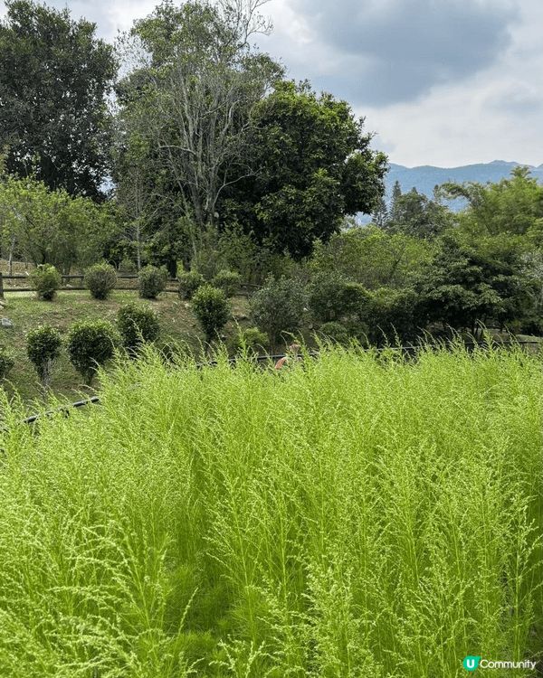 西貢獅子會自然教育中心是帶小朋友前往的理想地點，既充滿趣味，...