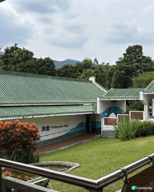 西貢獅子會自然教育中心是帶小朋友前往的理想地點，既充滿趣味，...