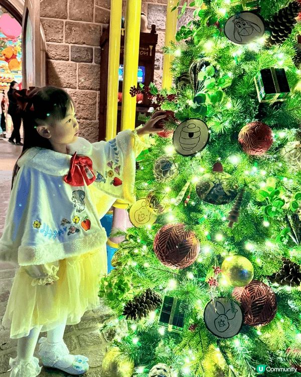 迪士尼20週年聖誕裝飾好有氣氛，特別是魔雪奇緣區，好多聖誕樹...