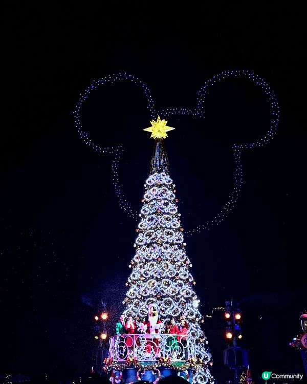 迪士尼20週年聖誕裝飾好有氣氛，特別是魔雪奇緣區，好多聖誕樹...