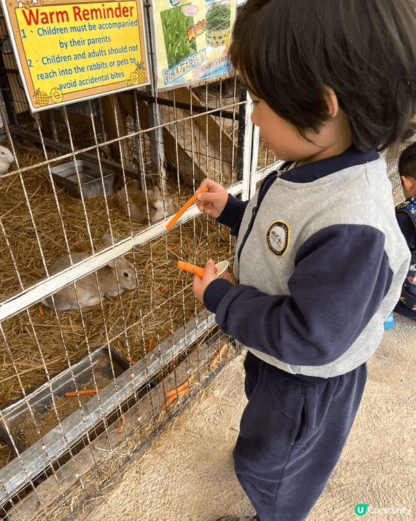 去元朗菠蘿園遊玩，園內有羊、羊駝🦙，還有很多遊樂設施，小孩、...