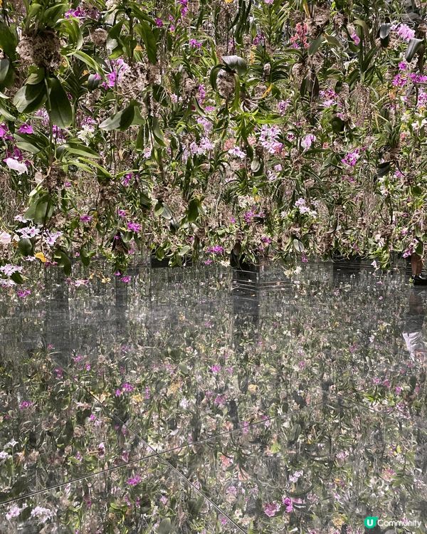 假期同小朋友去左東京teamlab，真系好好的體驗，完全系沉...