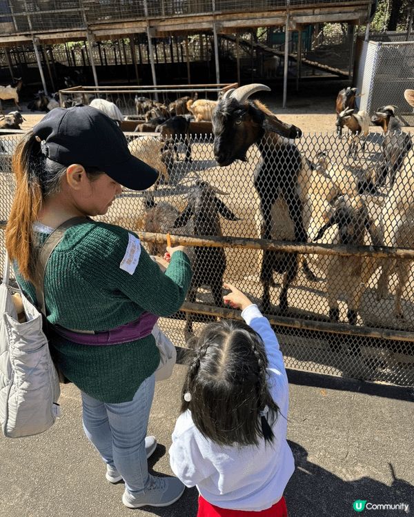 上週末，我們去大棠有機生態園（原荔枝山莊）玩了一整天，超級推...