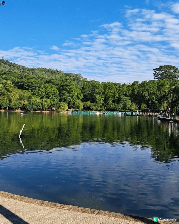 尋日帶咗屋企人去(蓮花山公園)賞花🌹🌷💐🌾🌸🌺🪷 ,睇微信介...