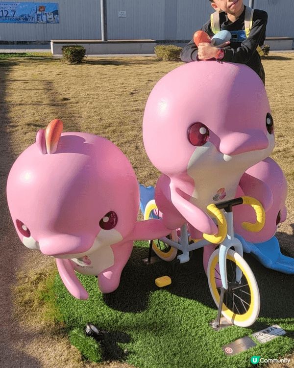 啟徳草地上代表全運會的海豚🐬