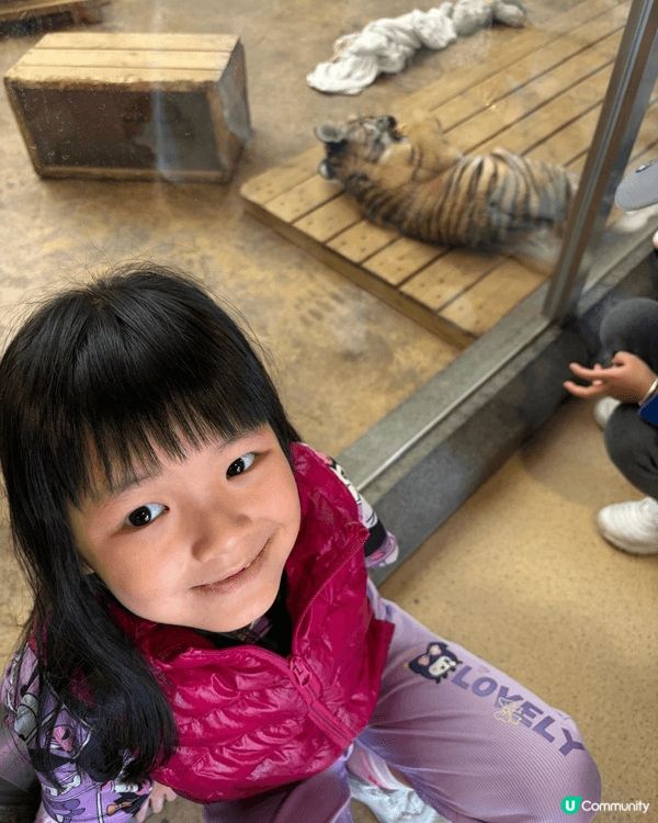 小朋友北上玩機動遊戲，參觀動物園，刺激又興奮。