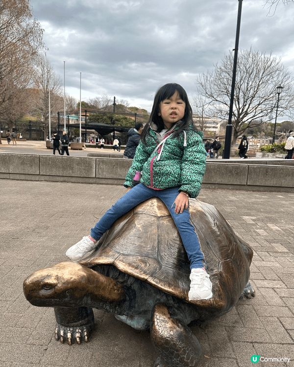 這是小朋友日本之旅參觀水族館和動物園時的照片