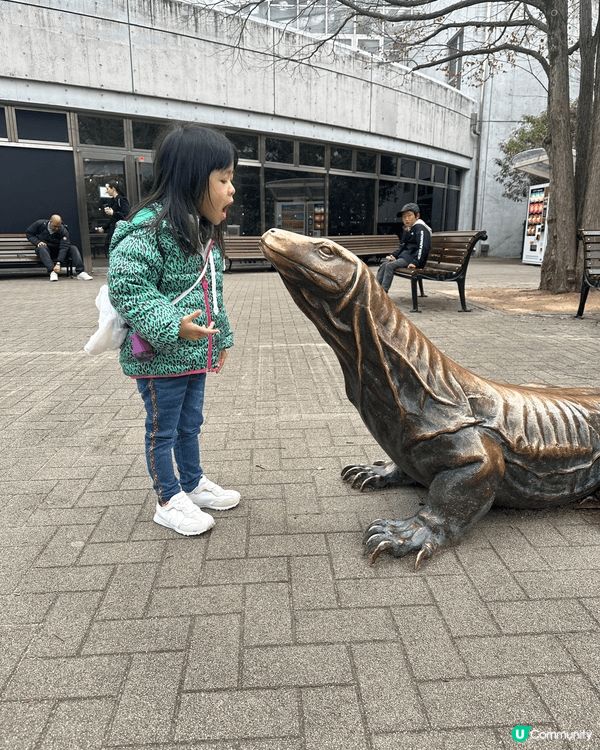 這是小朋友日本之旅參觀水族館和動物園時的照片