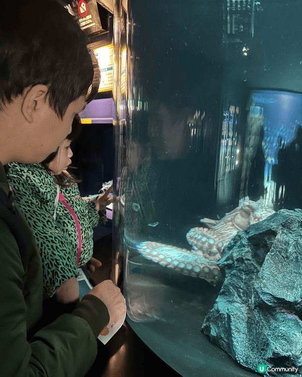 這是小朋友日本之旅參觀水族館和動物園時的照片