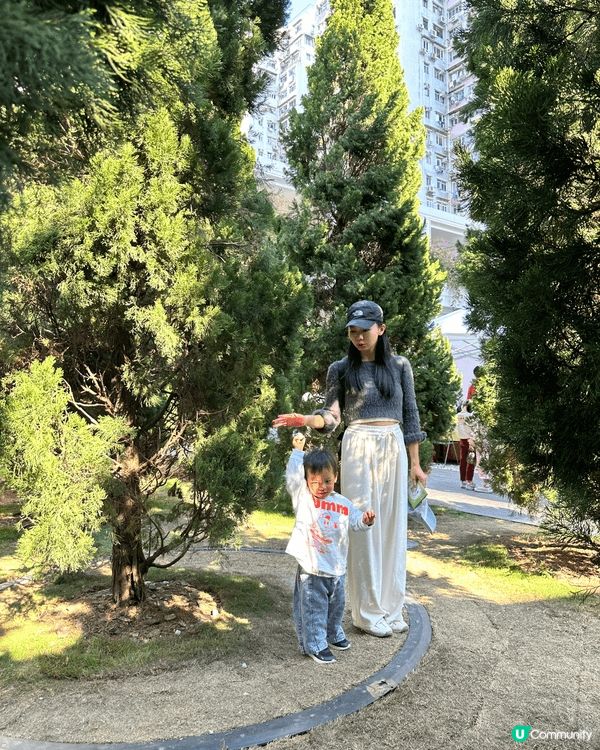 臨近聖誕節，介紹朋友認識聖誕節，出發睇睇聖誕樹