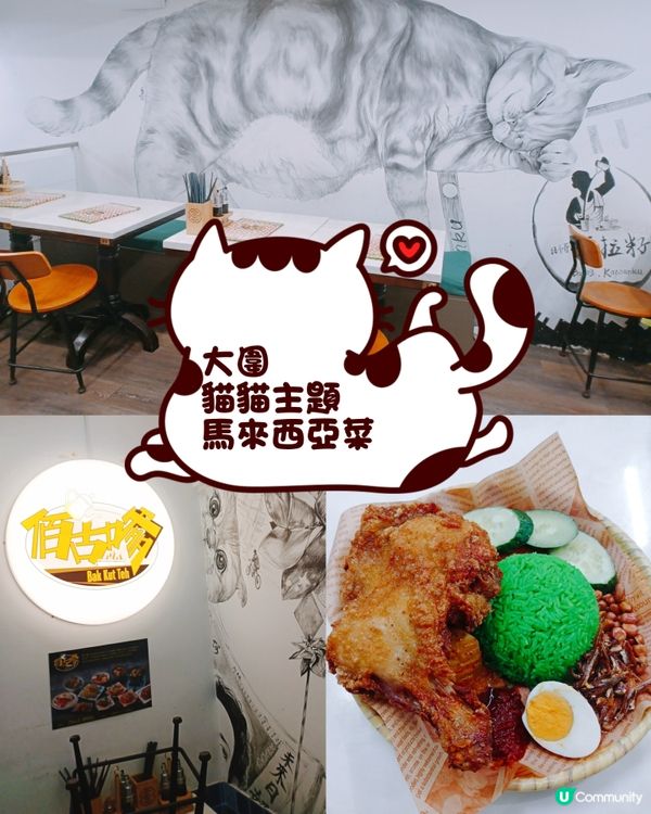 肉骨茶控必去！大圍貓貓主題馬來西亞餐廳😻🤤🍲