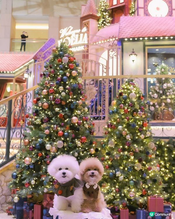 聖誕冬日小鎮🎄！打卡影靚相📸！ 