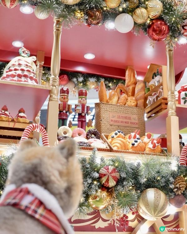 豬家25年聖誕打卡第二彈