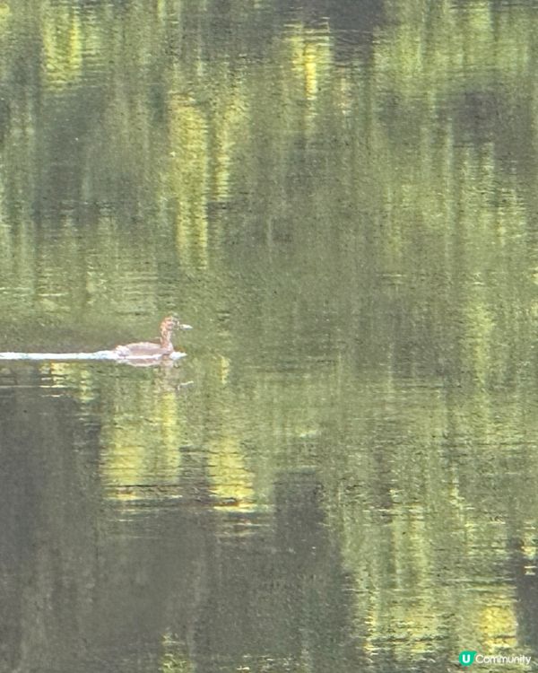 北區後花園—流水響