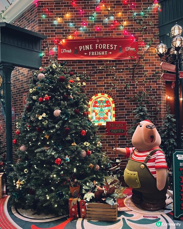 太古廣場聖誕車站開鑼！🎄 打卡必去！🎁