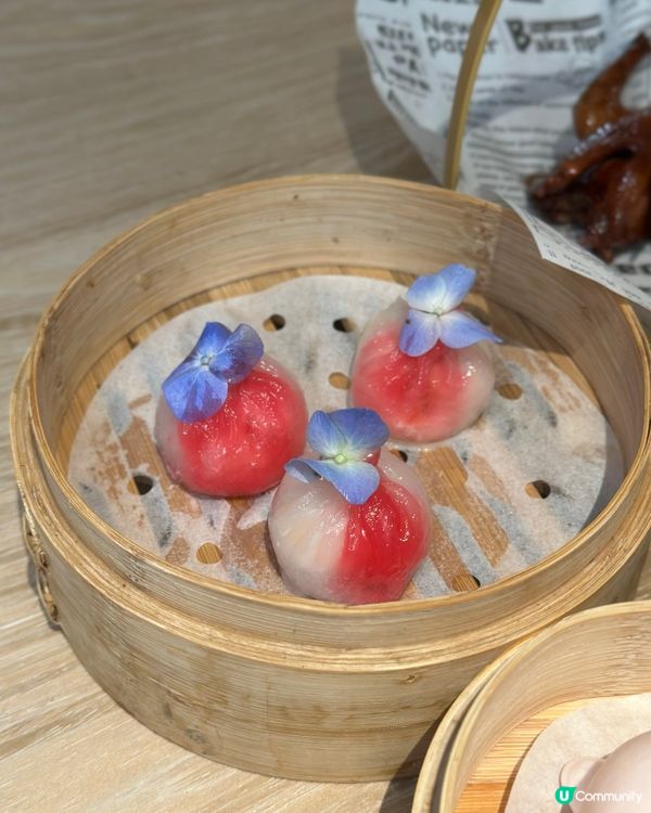 自己人沙田新店開張！📸 潮菜點心超吸睛！😋