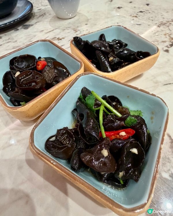 [勞蘇食]川菜CP值之選🤩