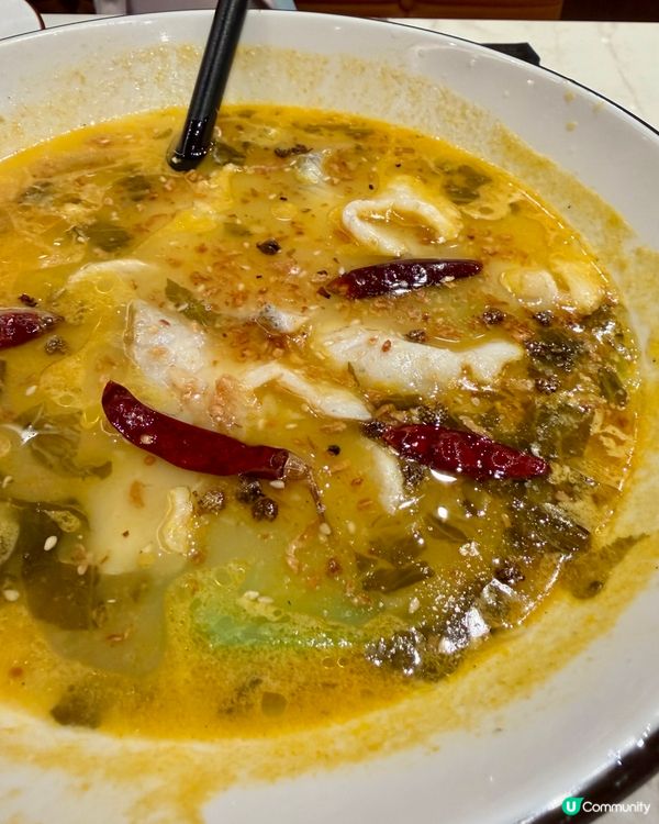 [勞蘇食]川菜CP值之選🤩