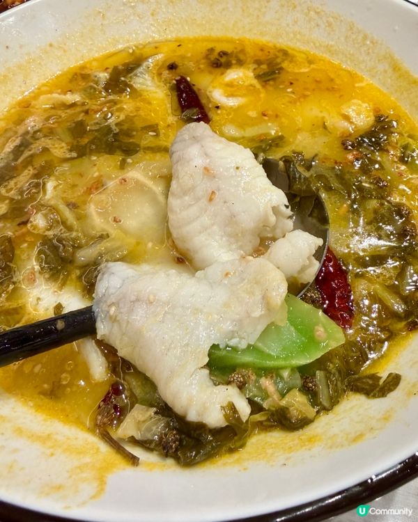 [勞蘇食]川菜CP值之選🤩