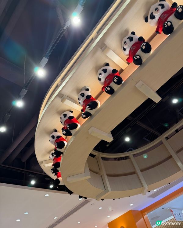 [勞蘇食]川菜CP值之選🤩