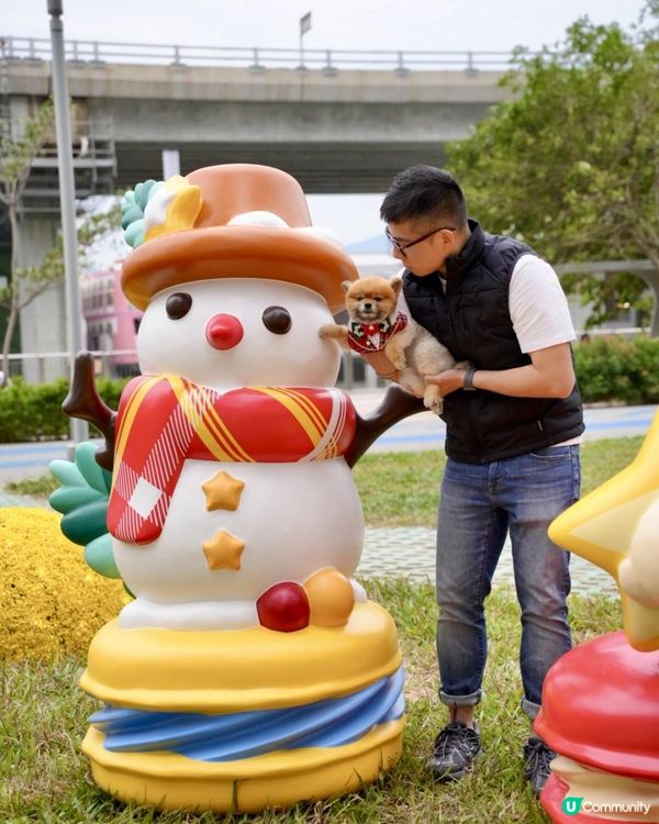 豬家25年聖誕打卡第三彈