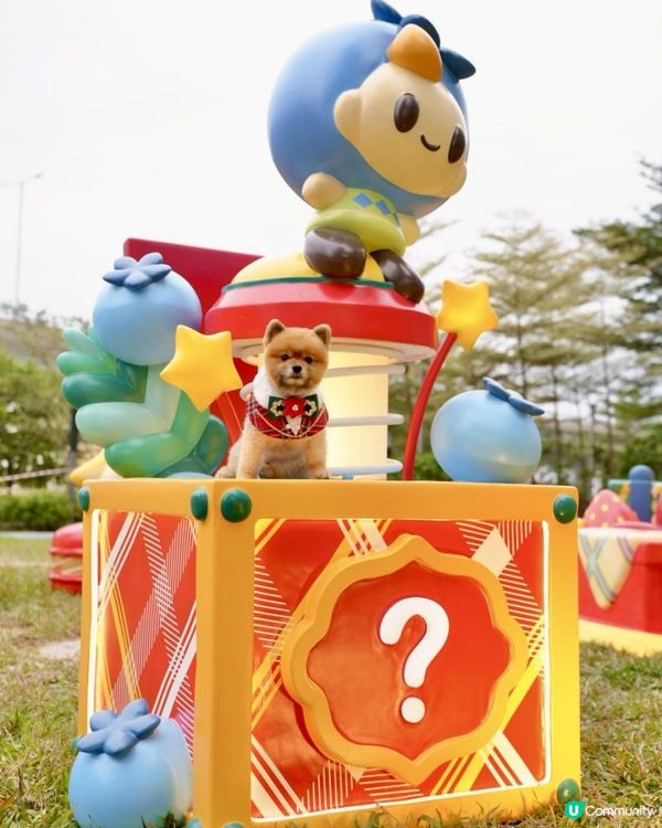 豬家25年聖誕打卡第三彈